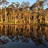 Review photo of Hunting Island State Park Campground by Cathy C., September 9, 2018