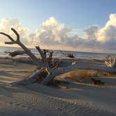 Review photo of Hunting Island State Park Campground by Cathy C., September 9, 2018