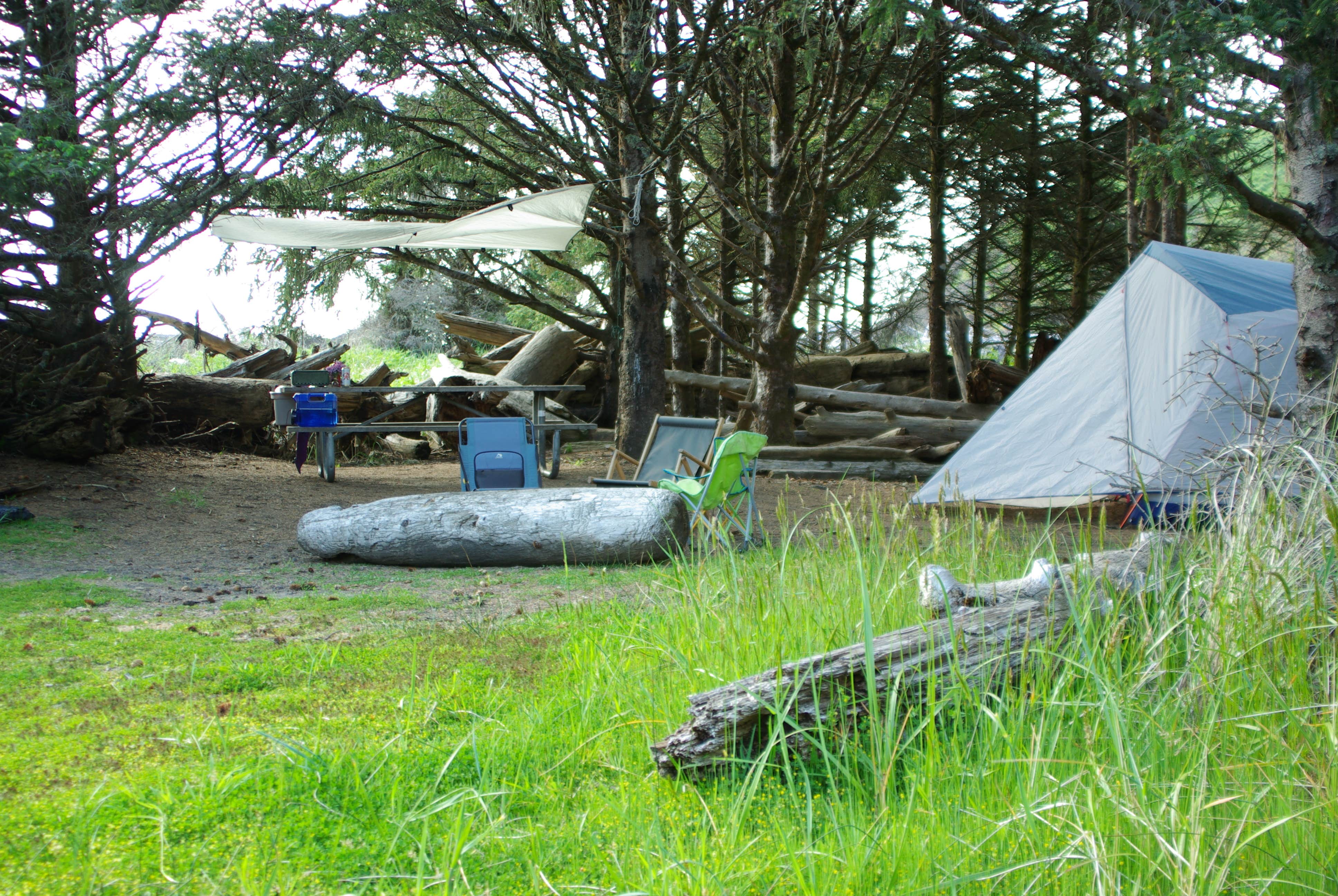Camper submitted image from Cape Disappointment State Park Campground - 4