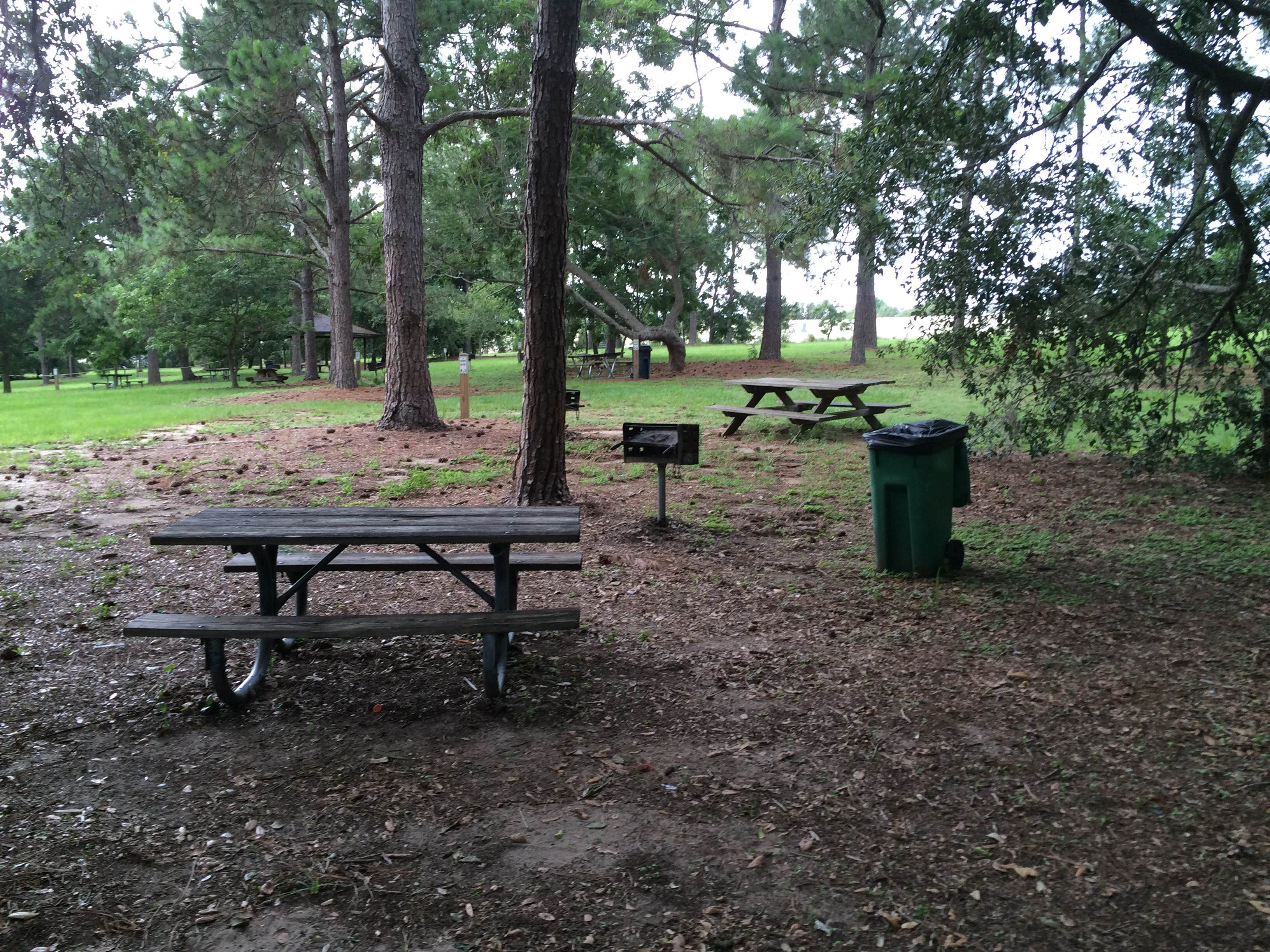 Camper submitted image from Bill Frederick Park at Turkey Lake - 3