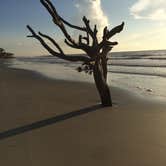 Review photo of Hunting Island State Park Campground by Cathy C., September 9, 2018