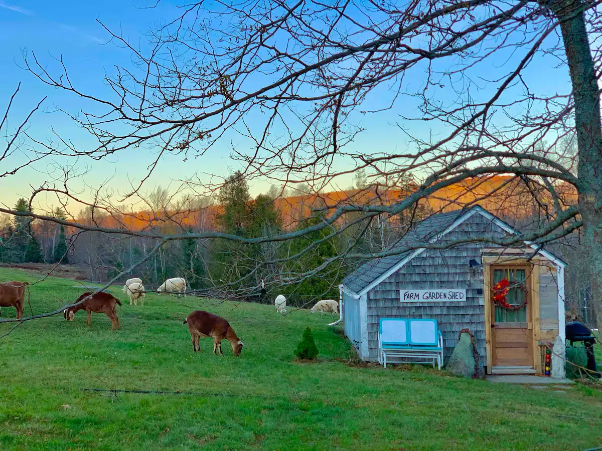 Camper-submitted photo at Amy’s Farmstays near West Rockport, ME