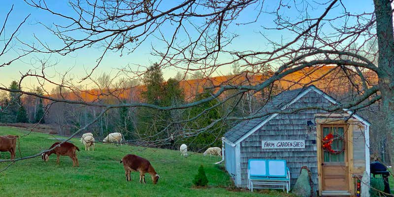 Camper submitted image from Amy’s Farmstays