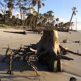 Review photo of Hunting Island State Park Campground by Cathy C., September 9, 2018