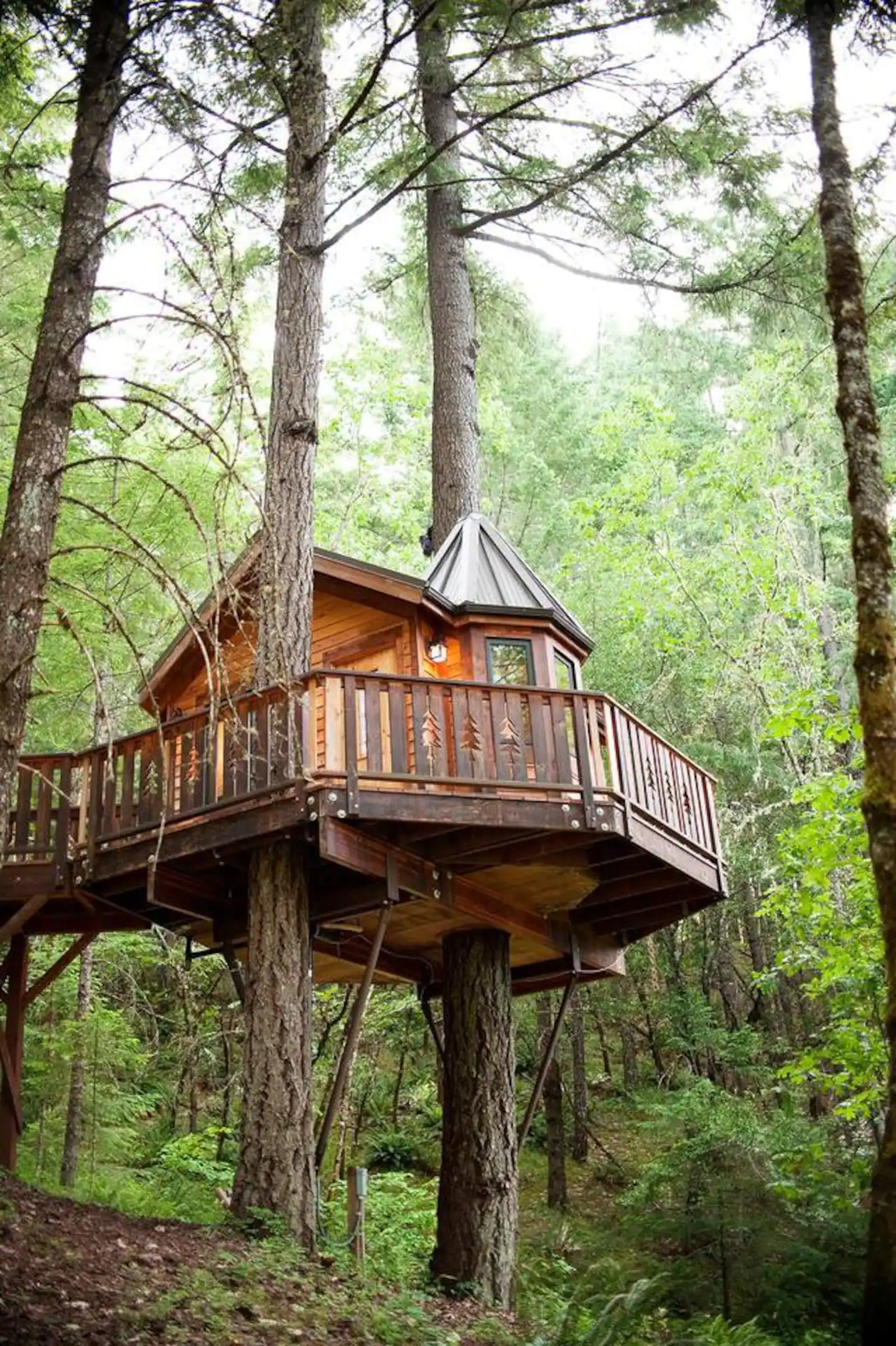 Camper submitted image from Vertical Horizons Treehouse Paradise - 1