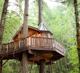 Camper-submitted photo from Vertical Horizons Treehouse Paradise