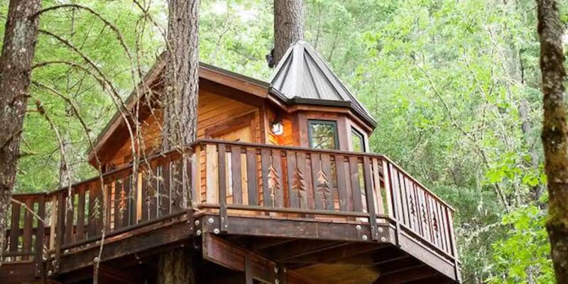 Camper submitted image from Vertical Horizons Treehouse Paradise