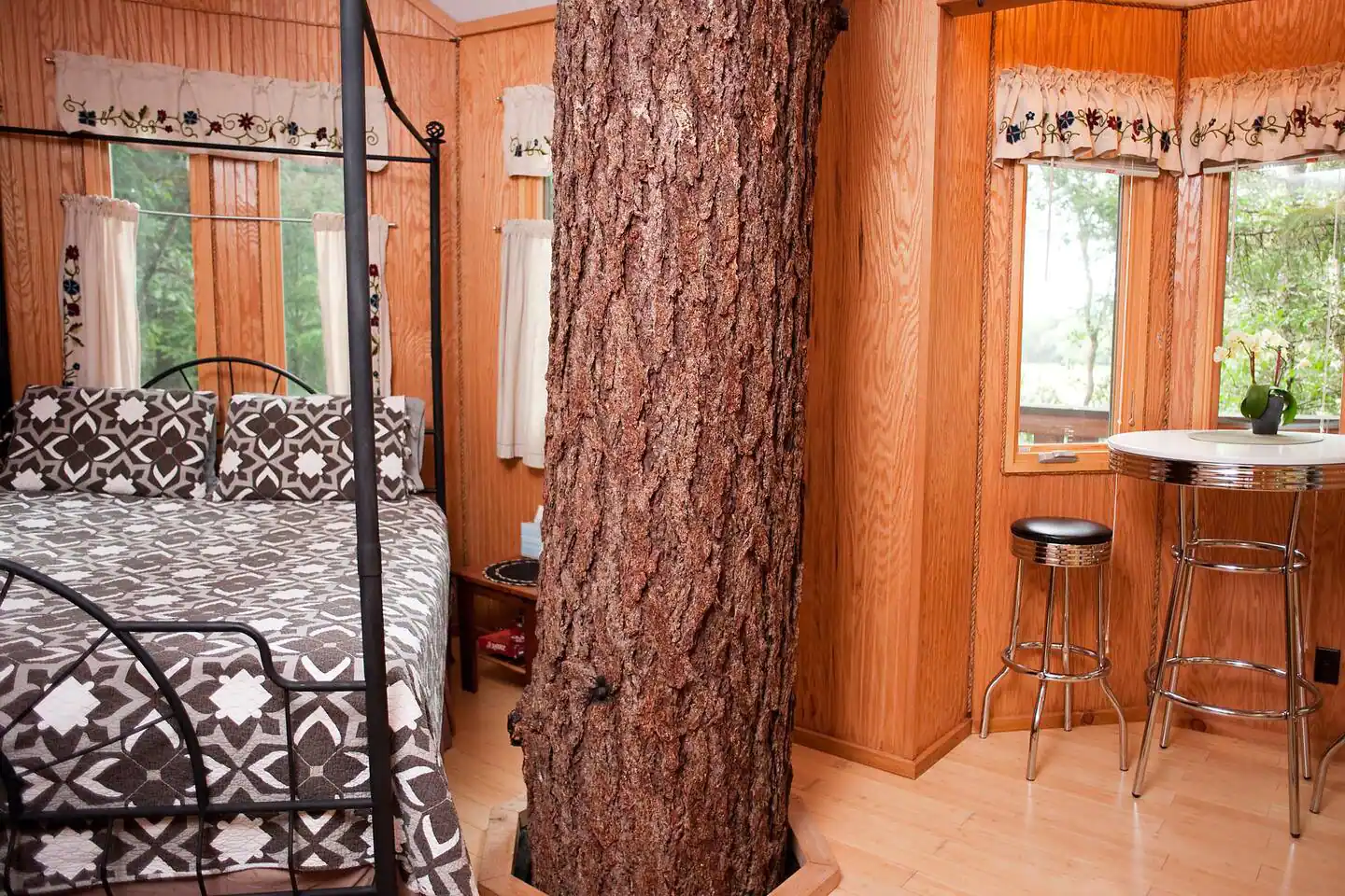 Camper-submitted photo at Vertical Horizons Treehouse Paradise near Selma, OR