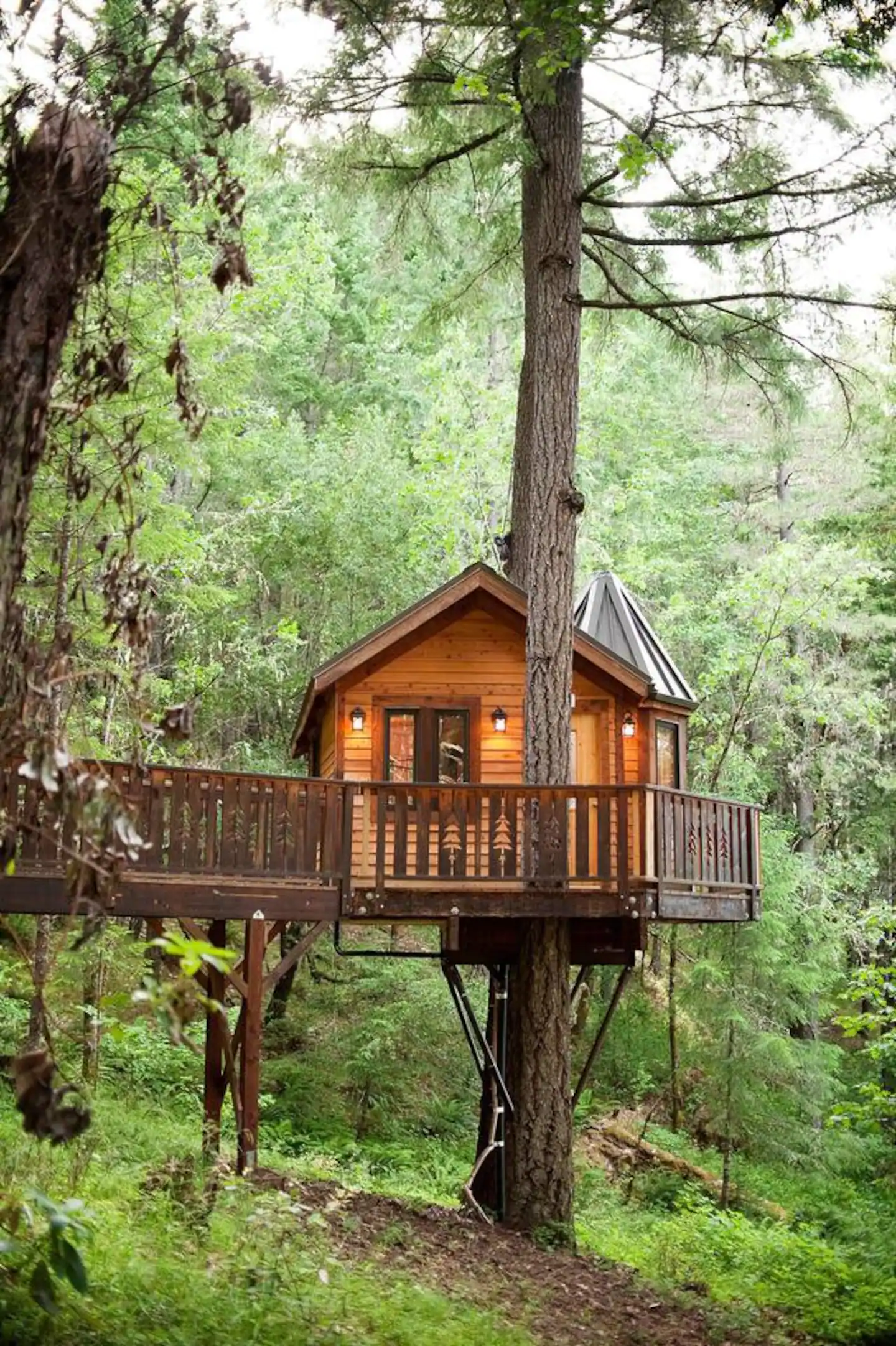 Camper-submitted photo at Vertical Horizons Treehouse Paradise near Selma, OR