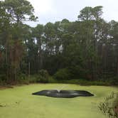Review photo of Hunting Island State Park Campground by Cathy C., September 9, 2018