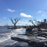 Review photo of Hunting Island by Cathy C., September 9, 2018