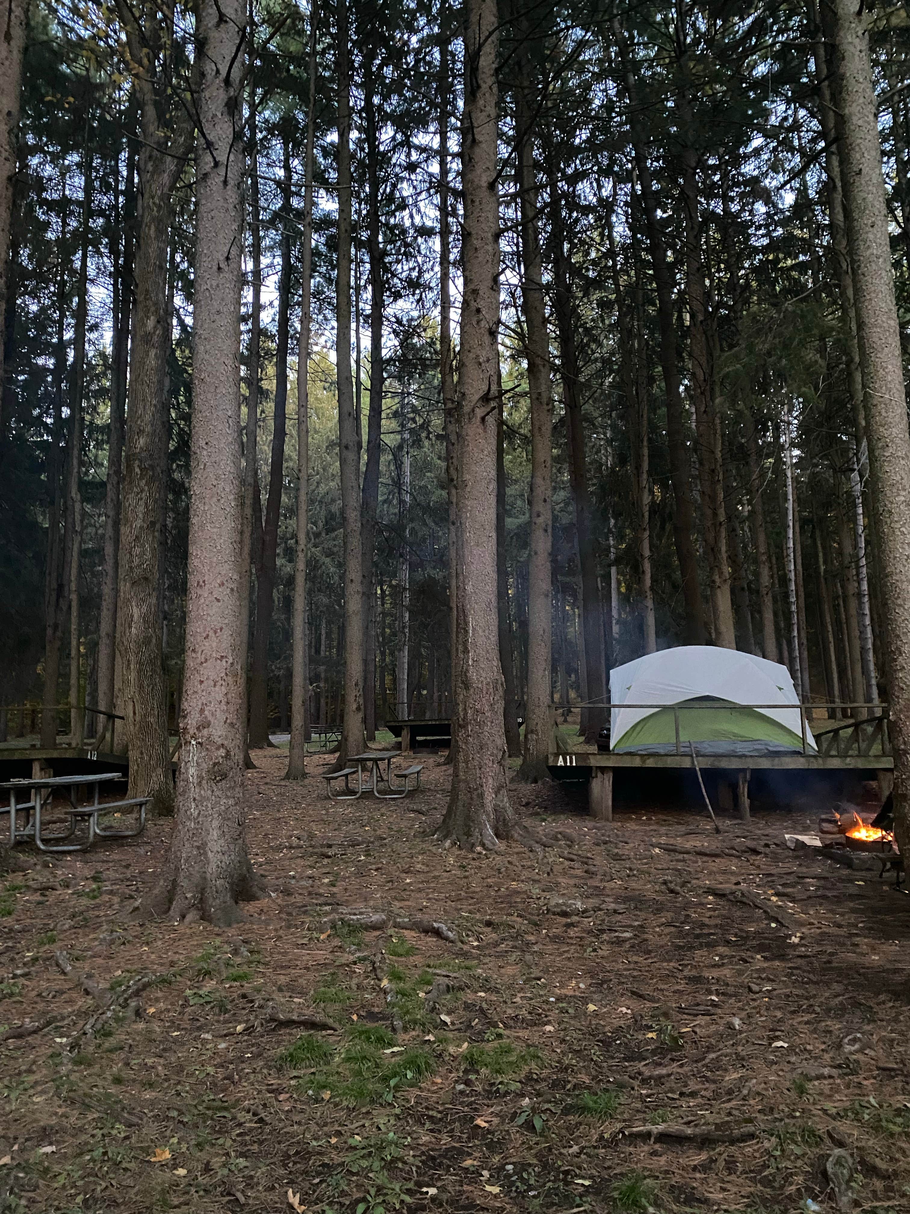 Casey L.'s photo at Copake Falls Area — Taconic State Park near West Stockbridge, MA