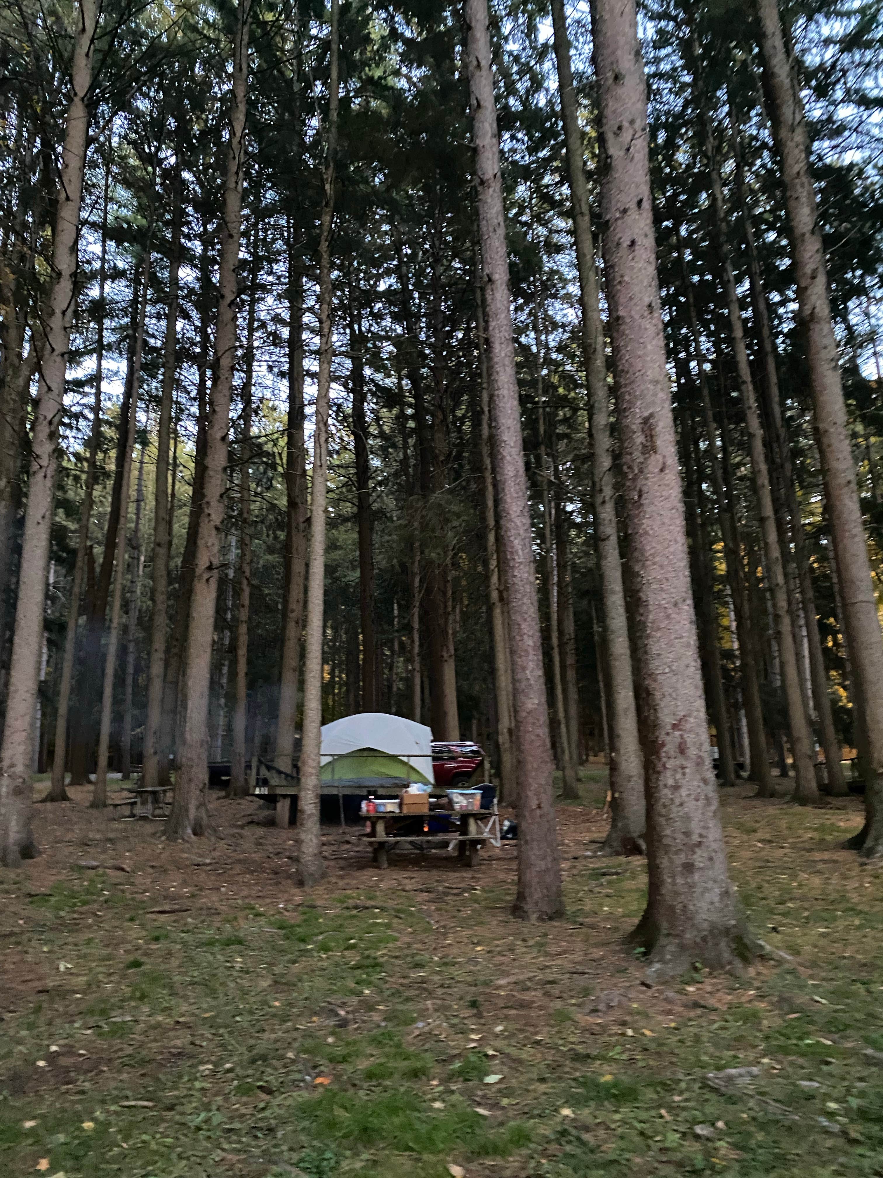Casey L.'s photo at Copake Falls Area — Taconic State Park near Lakeville, CT
