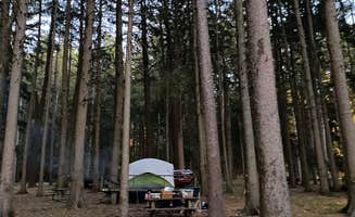 Casey L.'s photo at Copake Falls Area — Taconic State Park near Copake Falls, NY