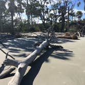 Review photo of Hunting Island State Park Campground by Cathy C., September 9, 2018