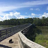 Review photo of Hunting Island State Park Campground by Cathy C., September 9, 2018
