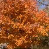 Review photo of Taylorsville Lake State Park Campground by Michael W., October 21, 2022