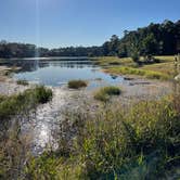 Review photo of Blythe Island Regional Park by Ellyn F., October 21, 2022