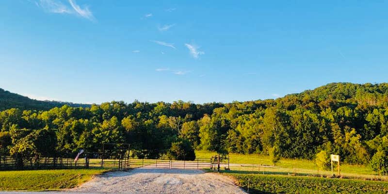 Camper submitted image from RT Unplugged Kingston