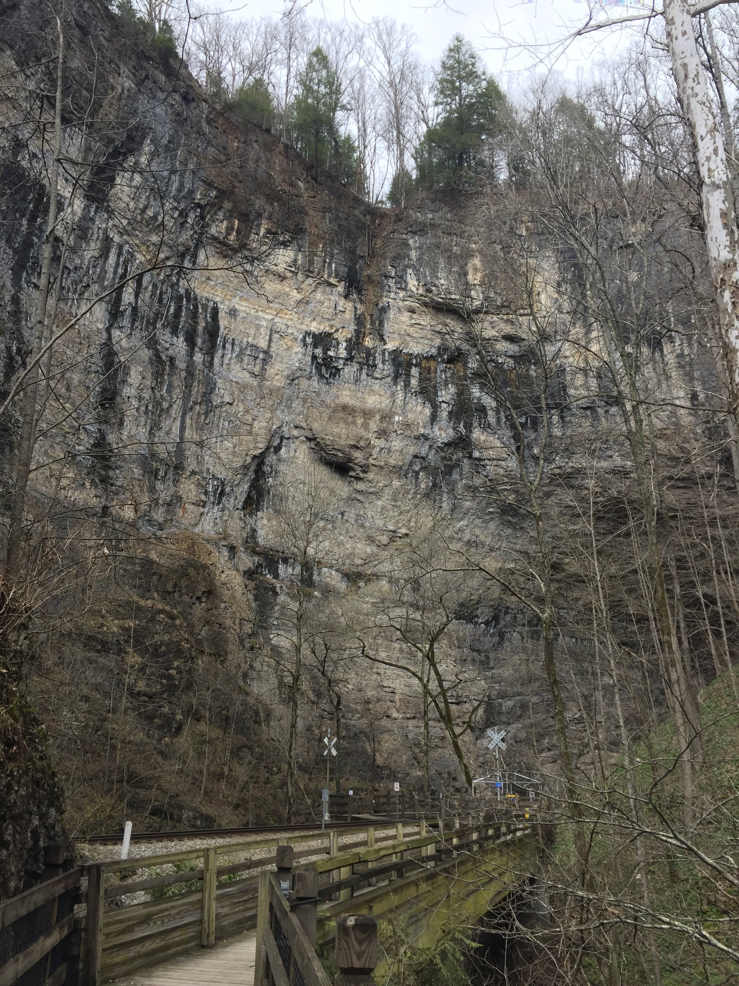 Camper submitted image from Lover's Leap Campground — Natural Tunnel State Park - 1