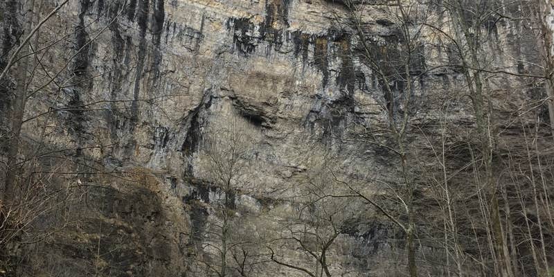 Camper submitted image from Lover's Leap Campground — Natural Tunnel State Park