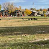 Review photo of Vernal / Dinosaurland KOA by Emily , October 22, 2022