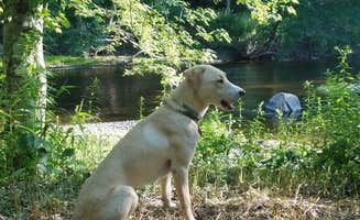 The Dyrt's photo of camping with pets at Tentrr Signature Site - Souhegan Serenade near Bennington, NH