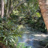 Review photo of Juniper Springs Rec Area - Tropical Camp Area by Peter J., October 22, 2022