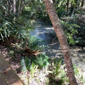 Review photo of Juniper Springs Rec Area - Tropical Camp Area by Peter J., October 22, 2022