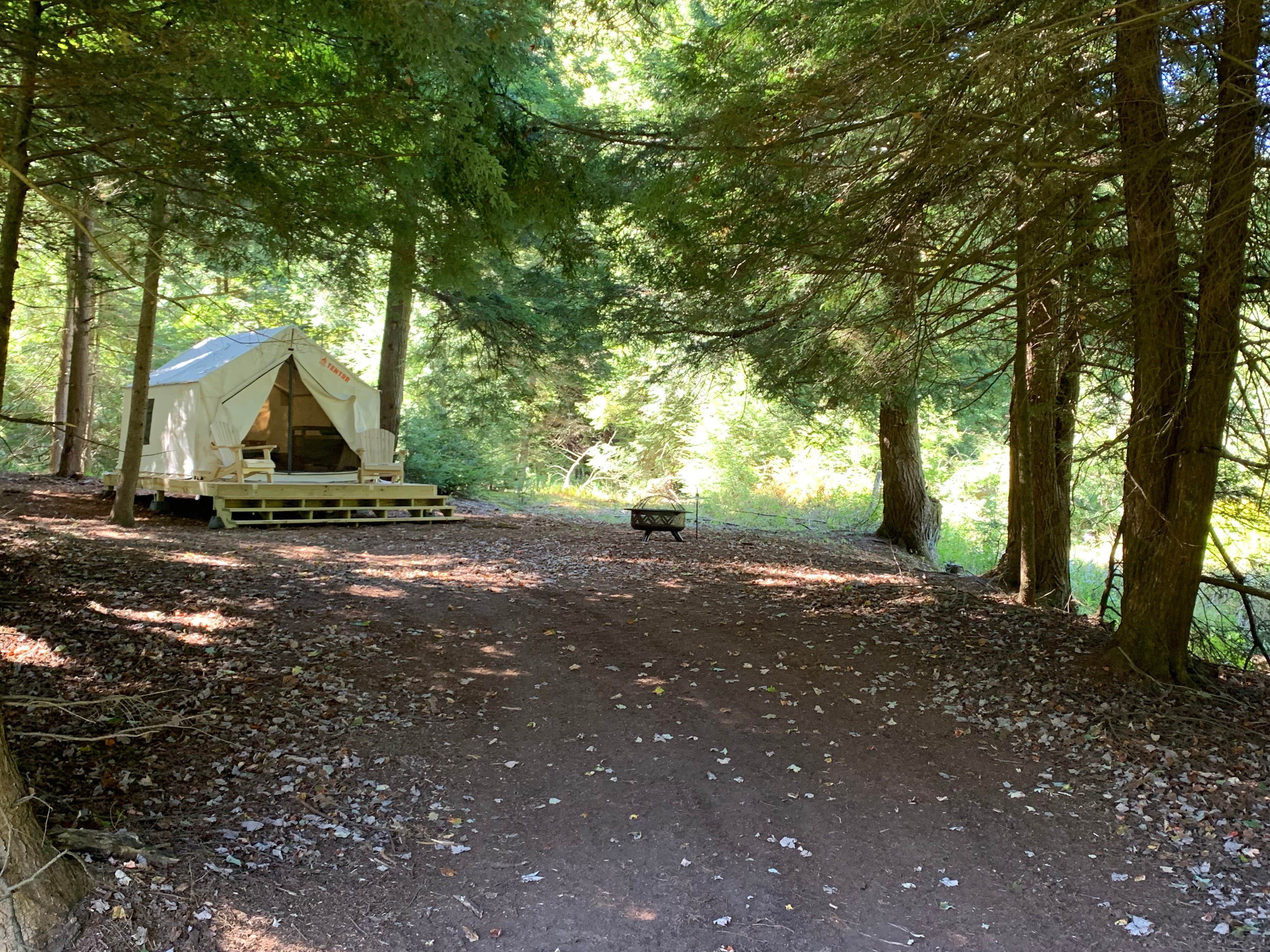 The Dyrt's photo at Tentrr Signature Site - Trout Meadow near Oakland, MD