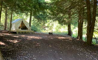 The Dyrt's photo at Tentrr Signature Site - Trout Meadow near Gibbon Glade, PA
