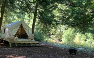 The Dyrt's photo at Tentrr Signature Site - Trout Meadow near Meyersdale, PA