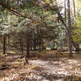 Review photo of Black Moshannon State Park Campground by Fred L., October 23, 2022