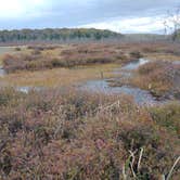 Review photo of Black Moshannon State Park Campground by Fred L., October 23, 2022