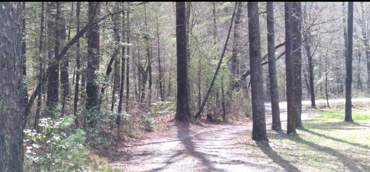 Camper-submitted photo at Fires Creek Hunters Camp/Huskins Branch near Murphy, NC