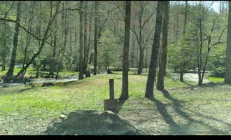 Camping near Harold Parrish Lower Camp - Backcountry: Fires Creek Hunters Camp/Huskins Branch, Hayesville, North Carolina