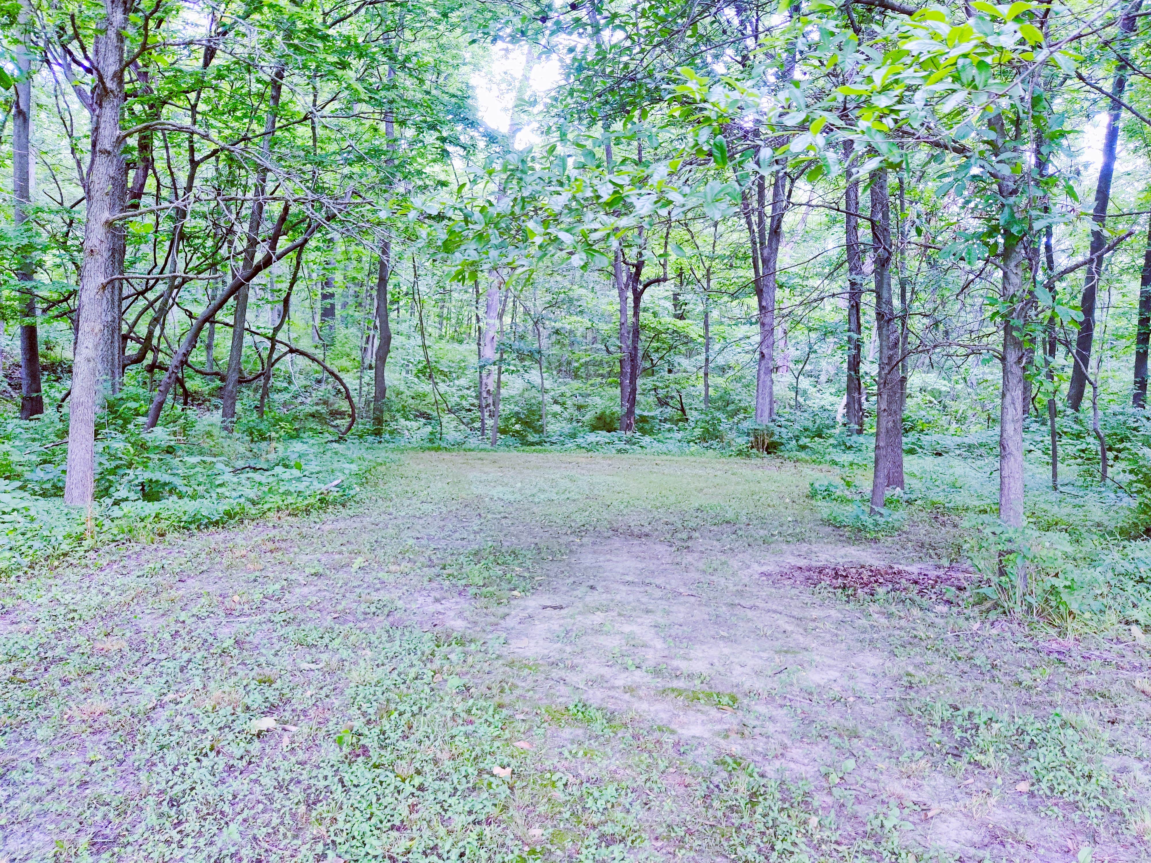 Camper-submitted photo at Tent Sites at Milo Farm near North Kansas City, MO