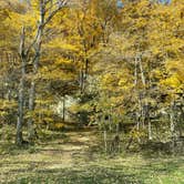 Review photo of Wildcat Den State Park Campground by Dave M., October 23, 2022