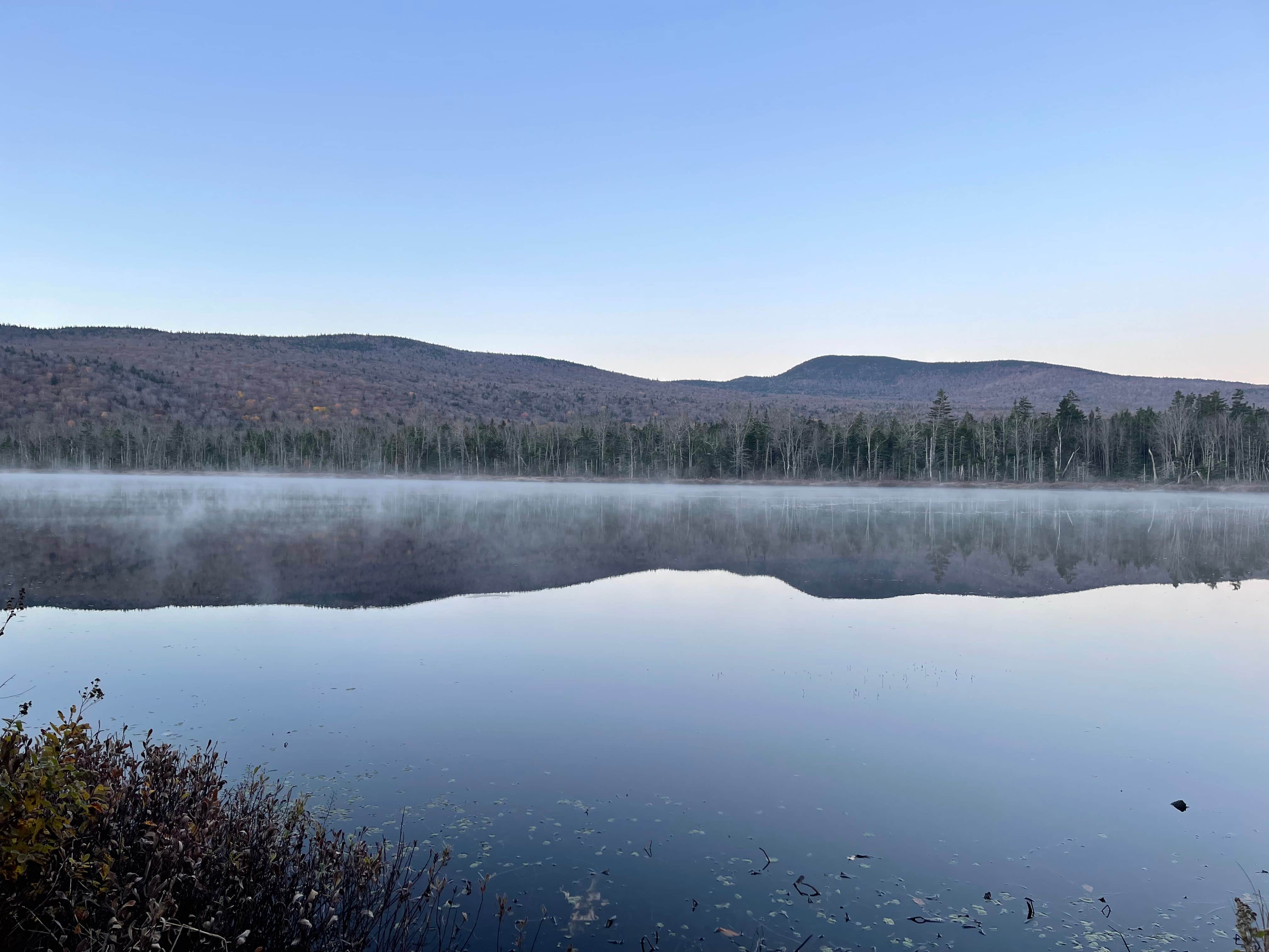 Nels M.'s photo of a dispersed camping area at Elbow Pond Road Dispersed Site near Denmark, ME