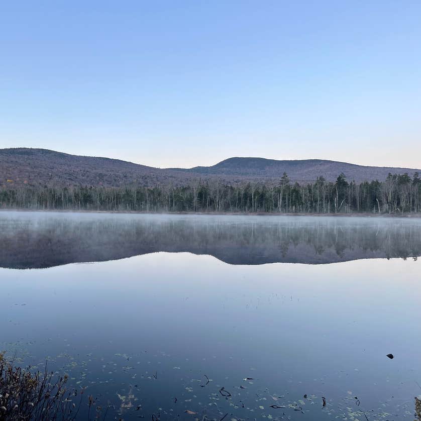 Elbow Pond Road Dispersed Site Camping The Dyrt
