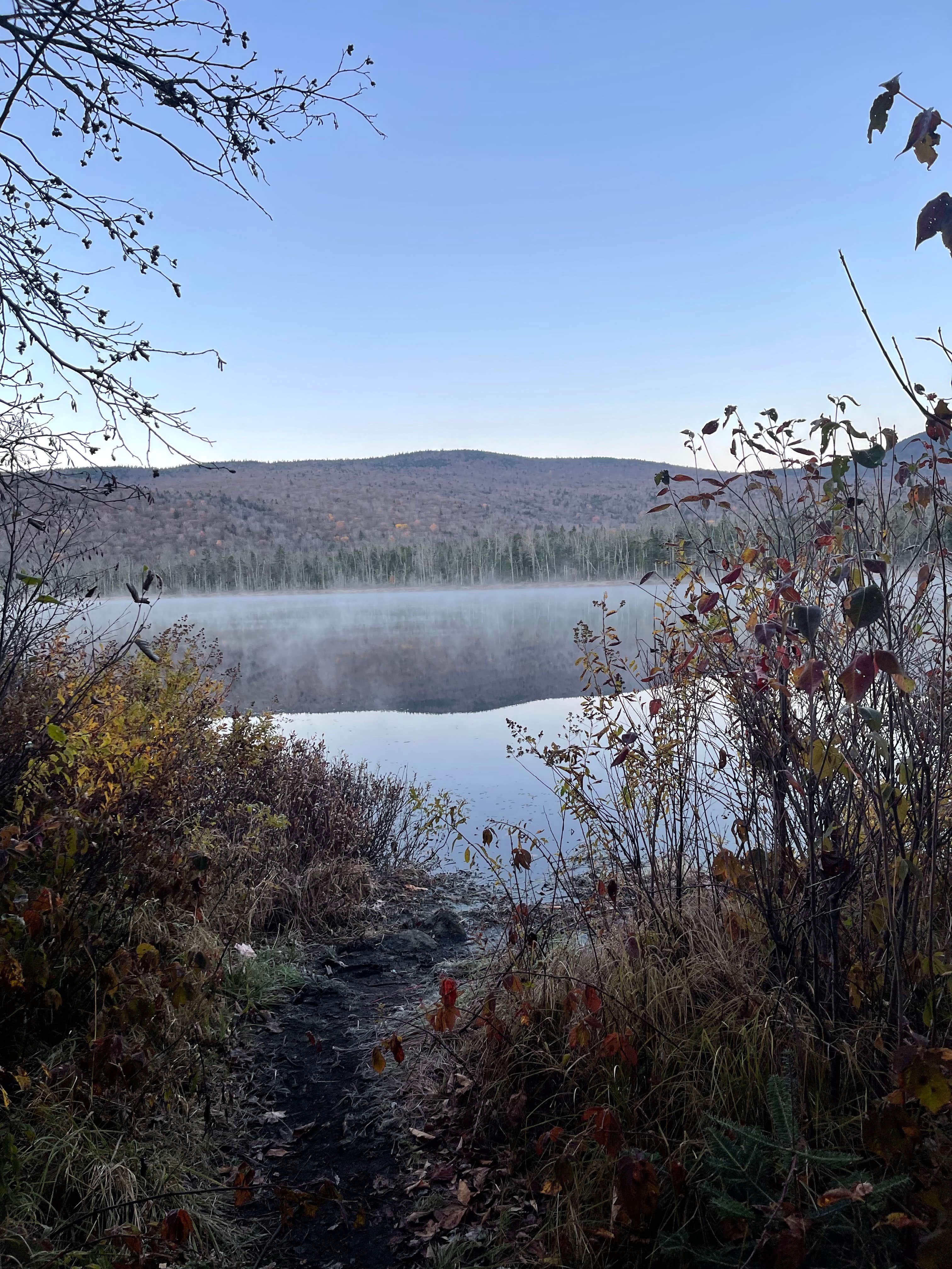 Camper-submitted photo at Elbow Pond Road Dispersed Site near Denmark, ME