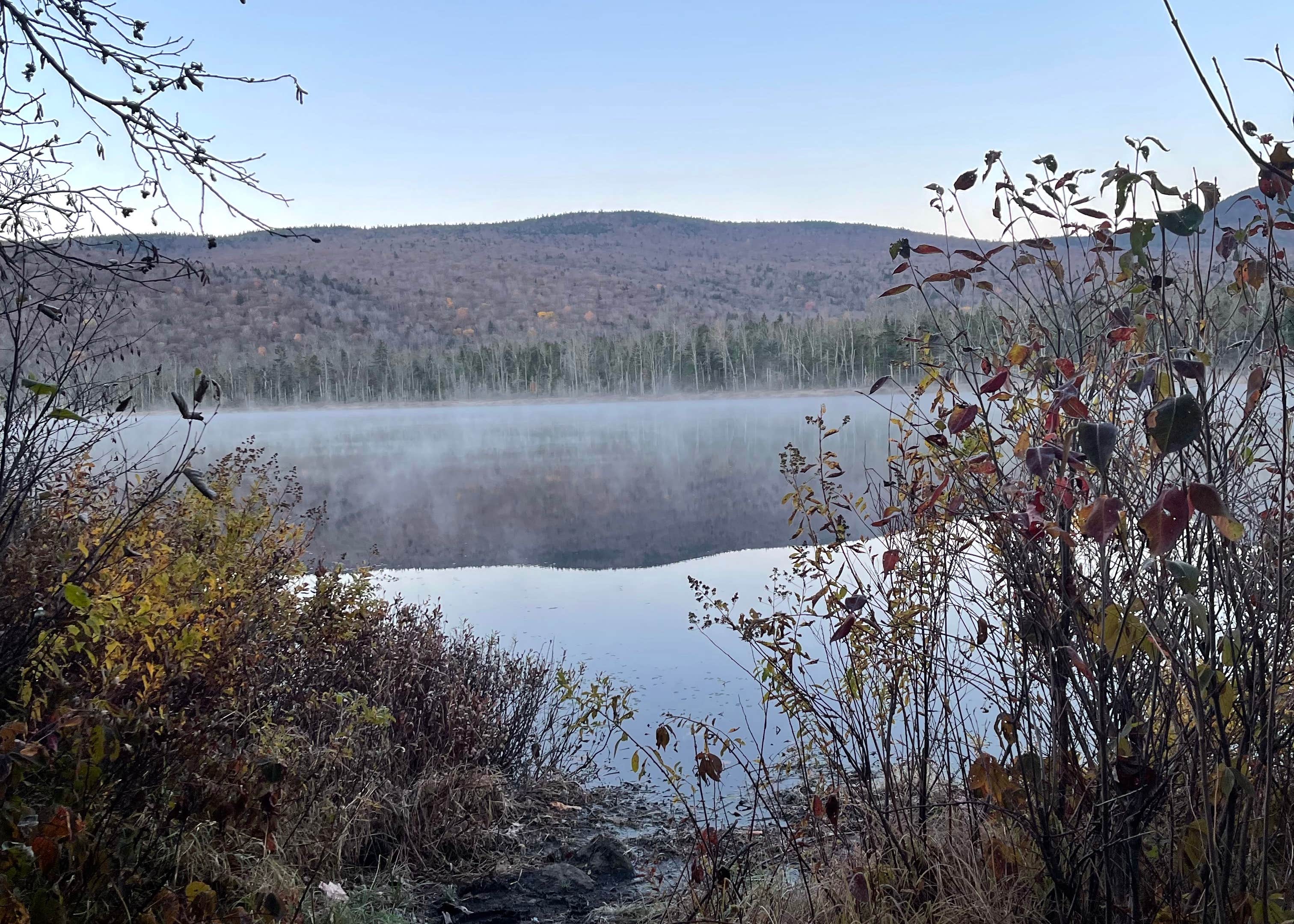 Elbow Pond Road Dispersed Site Camping The Dyrt