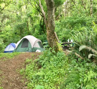 Camper-submitted photo from Flint Ridge Backcountry Site - Redwood National and State Park