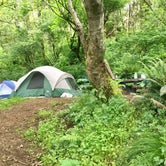 Review photo of Flint Ridge Backcountry Site - Redwood National and State Park by Emily H., September 10, 2018