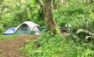 Emily H.'s photo of tent camping at Flint Ridge Backcountry Site - Redwood National and State Park near Crescent City, CA