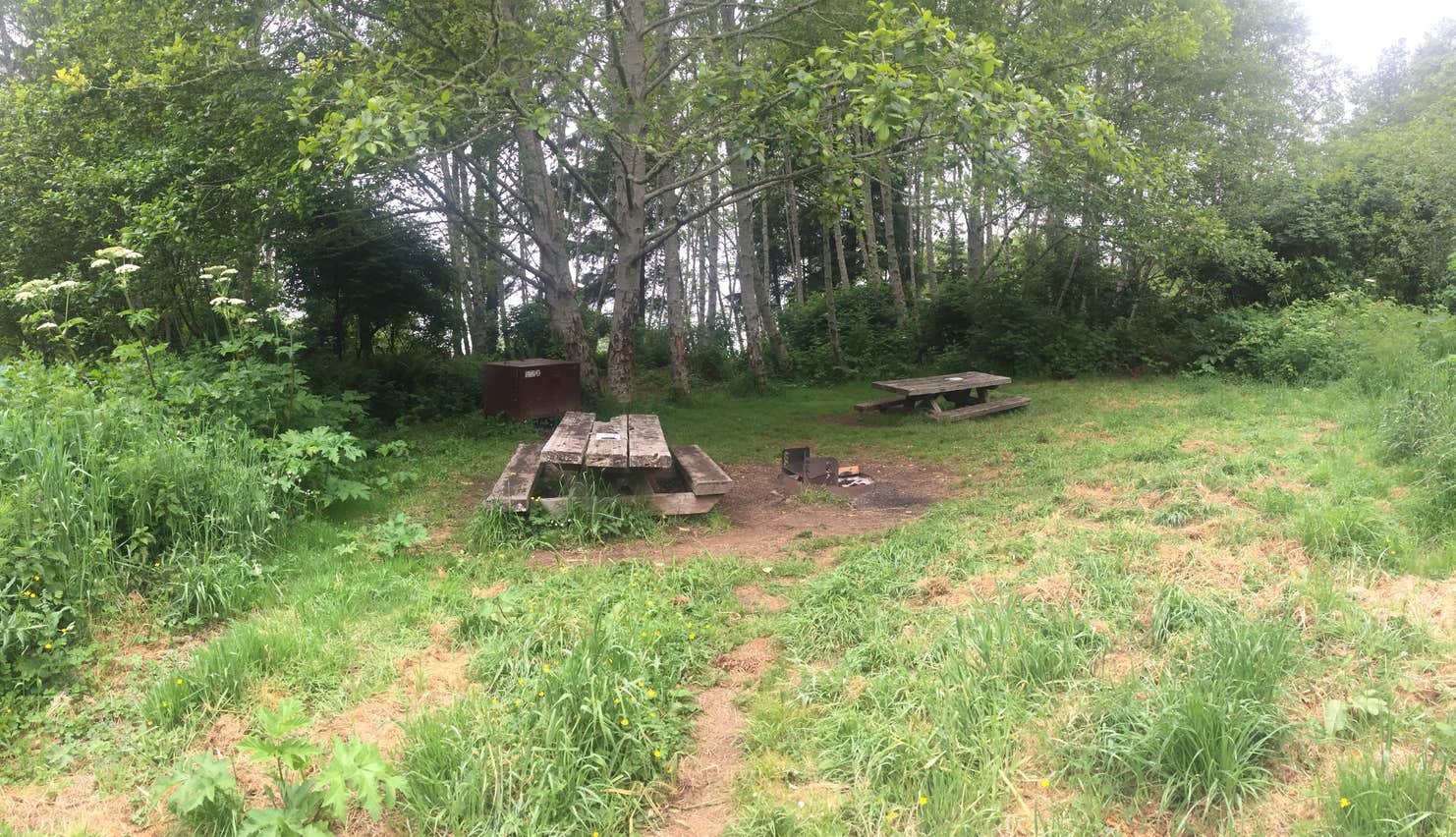 Flint Ridge Redwood National and State Park The Dyrt