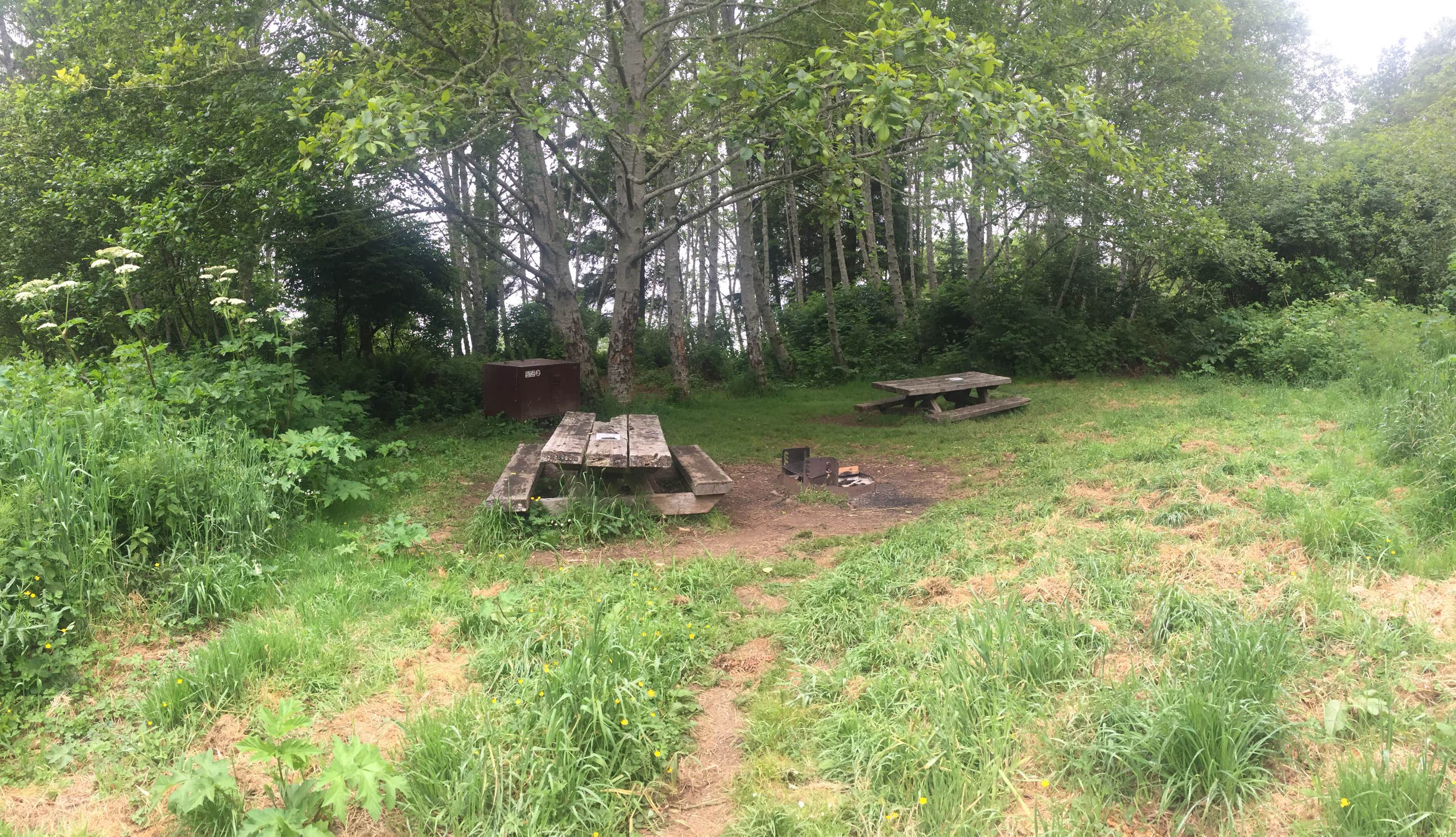 Flint Ridge Redwood National and State Park The Dyrt