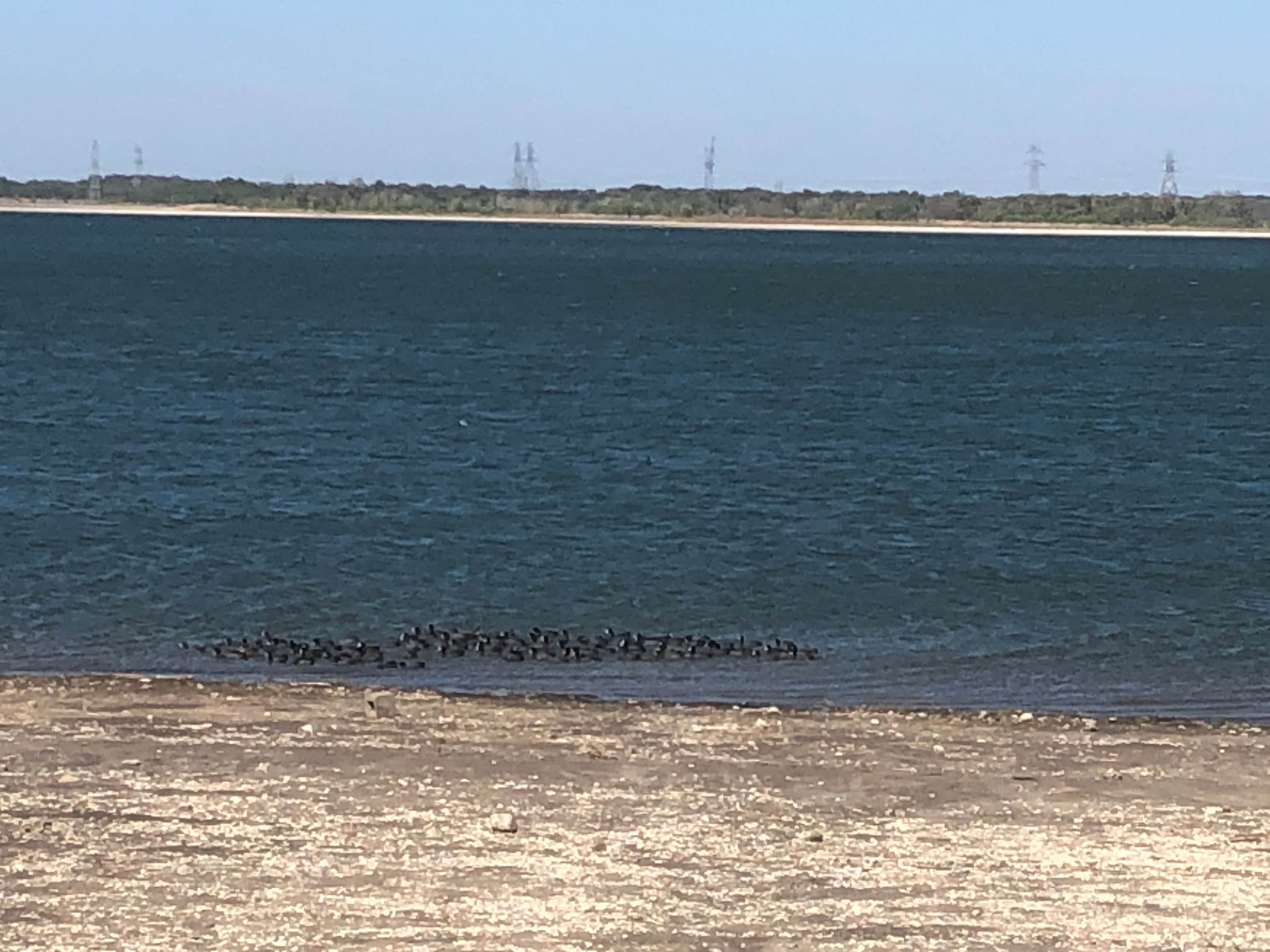 Camper-submitted photo at Tradinghouse Lake Park Camping near Waco Lake