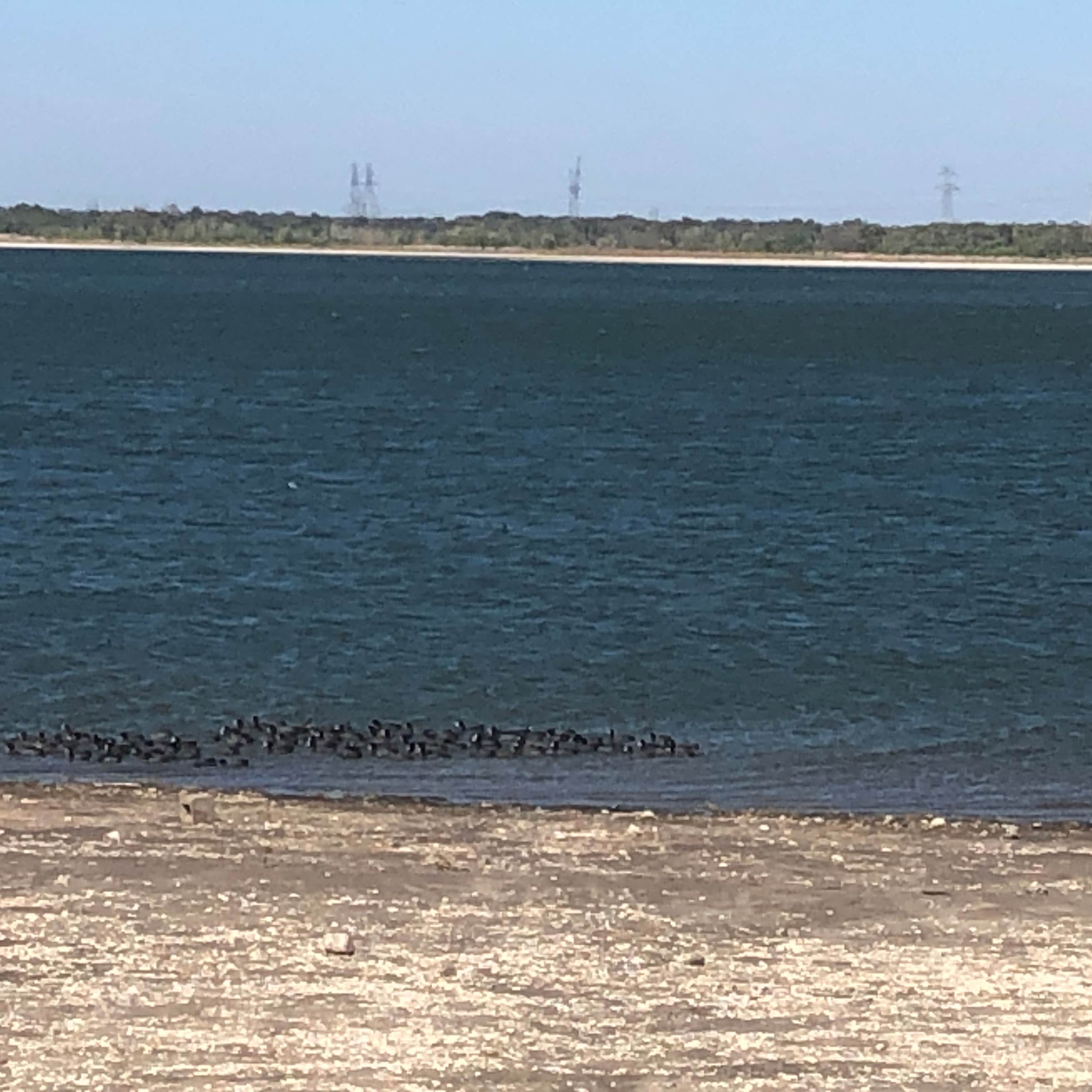 Tradinghouse Lake Park Camping Camping The Dyrt