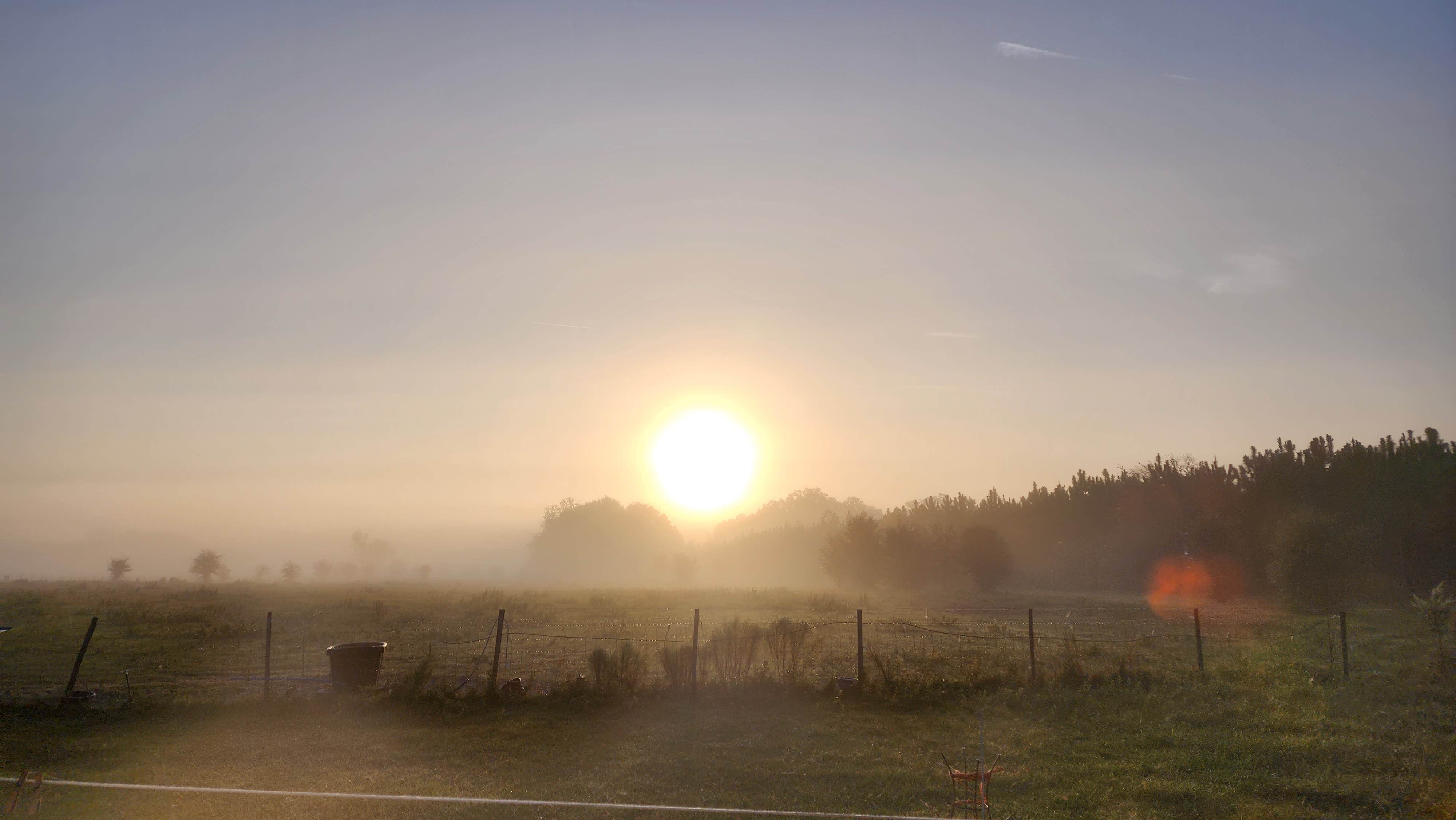 Camping near Ellie Ray's RV Resort & Lounge: More Than Welcome, Fort White, Florida